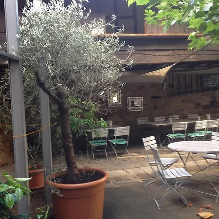 Vivo-vino Bed & Breakfast Weisenheim am Sand