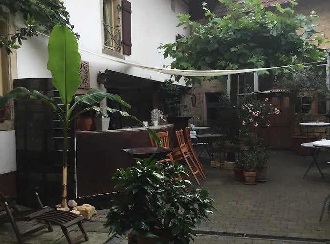 Vivo-vino Отель типа 